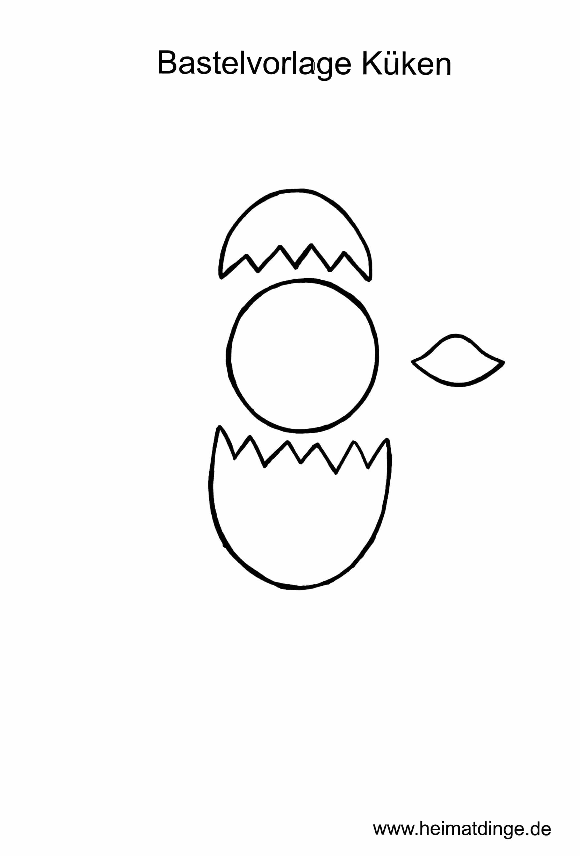 Küken Basteln Vorlage - Ausmalbilder